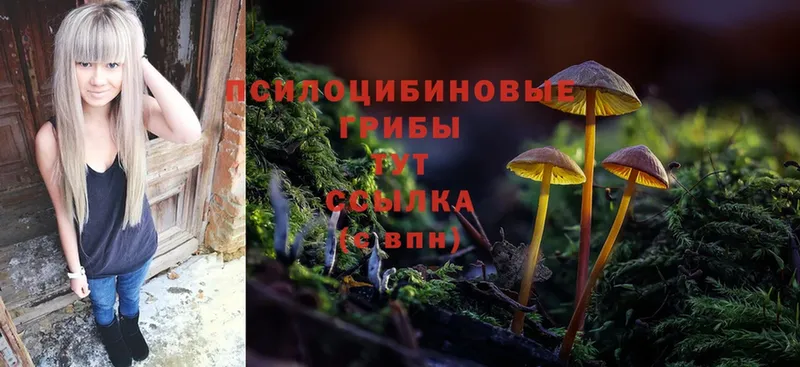 Псилоцибиновые грибы Magic Shrooms  продажа наркотиков  Котово 